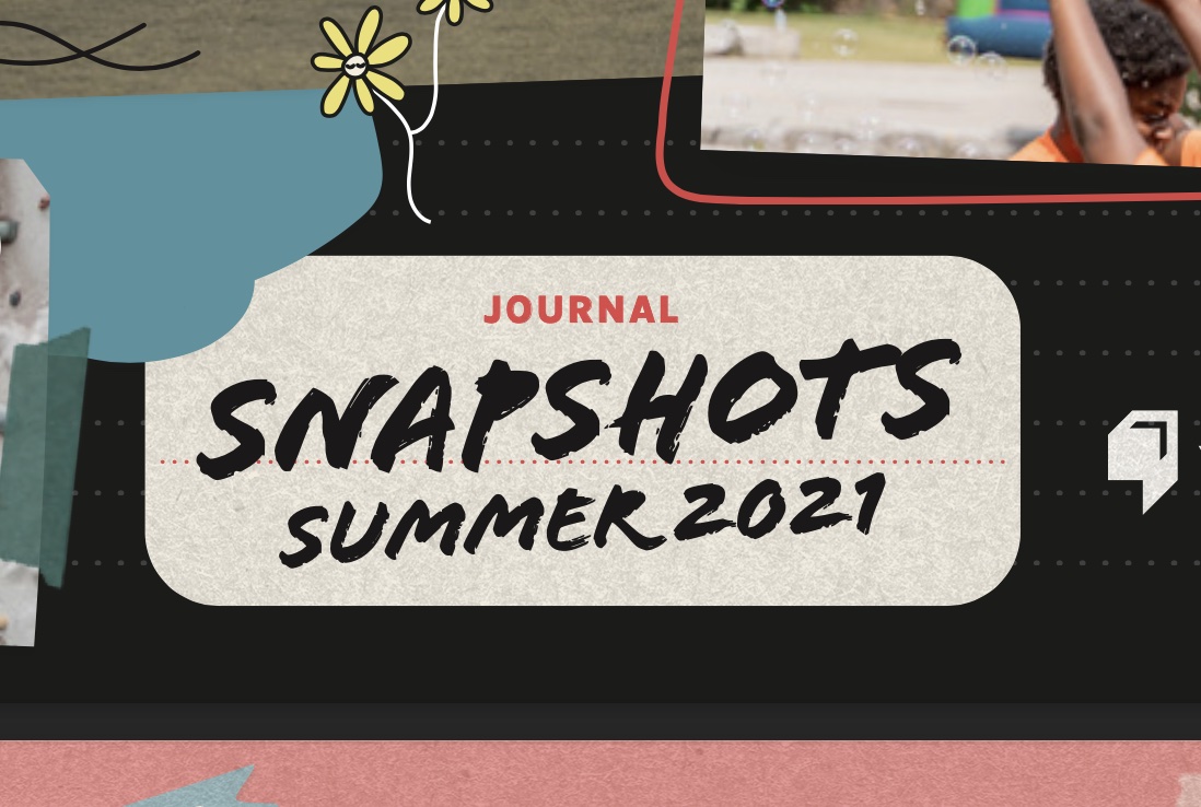 Summer Snapshots Publication 2021